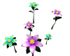 Glow Lilies [ANIM]