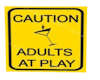 Adults At Play