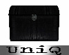 UniQ Leather Chest