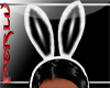 (PX)PlayMate Bunny Ear