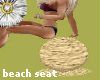 beach seat