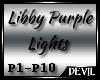 Custom Libby P DJ Lights