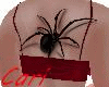CC- LLT SPIDER SEXY