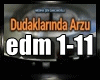 Dudaklarinda Arzu