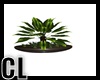 (CL) CHRYS P. PLANT