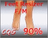 CG: Foot Scaler 90% F/M