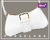 𝓟. Y2k Chic Bag W