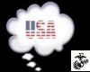 USA Headsign