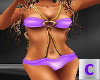 Purple Gold Bikini