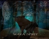 waya spirit