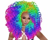 Rainbow Large Curly
