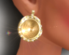 -Mm- Gold Earrings