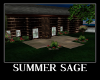 Summer Sage
