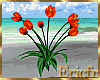 [Efr] Tulips Red