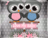 Baby love owl 