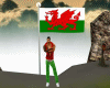 Flag  Wales