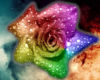 Rainbow Flower