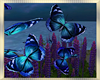Blue ~ Butterflies