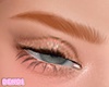 𝓓 Cianth Ginger Brow