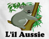 Aussie Koala Bear Toy