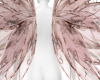 GP PBBF Coquette Wings