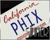 PHIX Plate