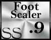 *SS Foot Scaler .9