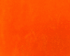 Orange Backdrop