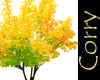 Yellow Automn tree