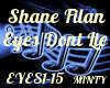 Shane Filan Eyes Dnt Lie