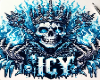 *N* CST ICY SHIRT