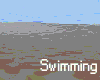 [SH] Swimming Furniture