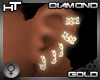 DIAMOND/GOLD EARRINGS