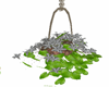 grey hanging basket