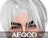 Ⲁ𝓖 Icy White Hair