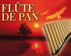 Pan Flute+Song Despacito