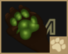 ~AM~ Dúlra Paws F