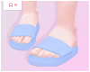 Ⓐ Blue Slippers