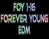 Forever Young remix