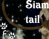 SIAM tail