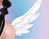 🖤 Angelic| Wings