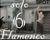 Flamenco solo 6 - SPOT