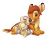 {DS}Thumper &Bambi