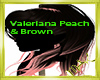 Valeriana Peach & Brown
