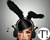 T! Black Bunny Bundle