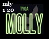 Molly (Tyga trap remix