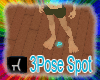 3Pose Spot