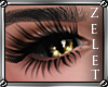 |LZ|Gold Dragon Eyes F