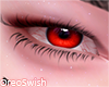 Ciel Red M/F/2T