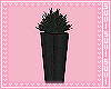 My High Planter